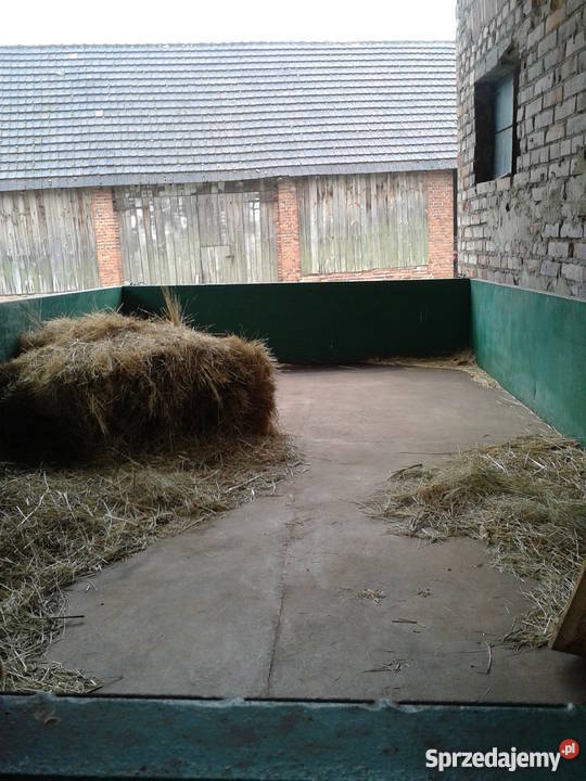 Przyczepa autosan D50 sprzedam Zborowskie sprzedam