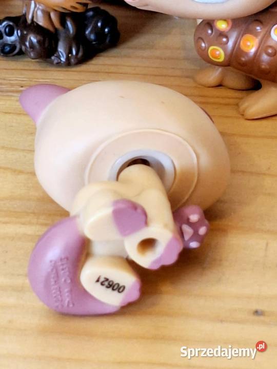 Shorthair kotek Littlest Pet Shop warmińsko-mazurskie Braniewo sprzedam