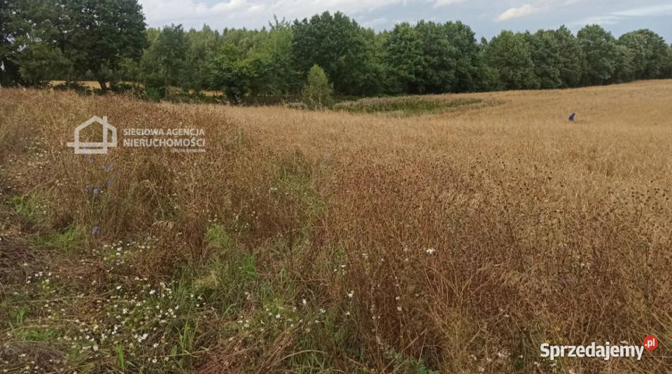 sprzedaży gruntu Skrzeszewo 1070m2 44m