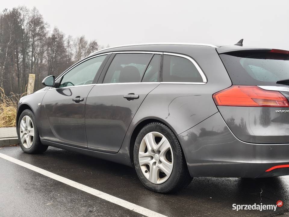 Opel Insignia szary Wolbrom