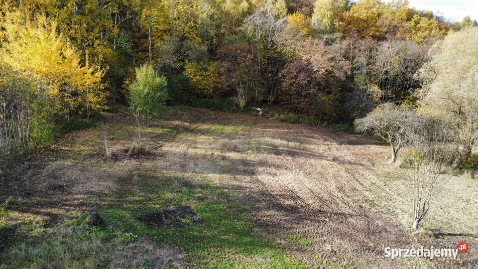 16 ar Wrząsowice Działka budowlana lesie kanalizacja małopolskie
