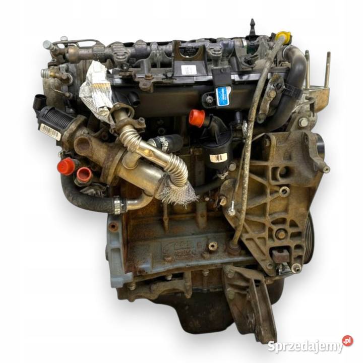 SILNIK 199A3000 Fiat Doblo II Idea Linea Grande osobowe Chełm