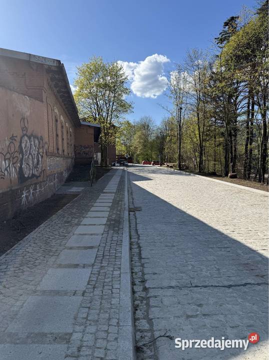 Wyjątkowy budynek usługowy w centrum miasta dolnośląskie Nowa Ruda