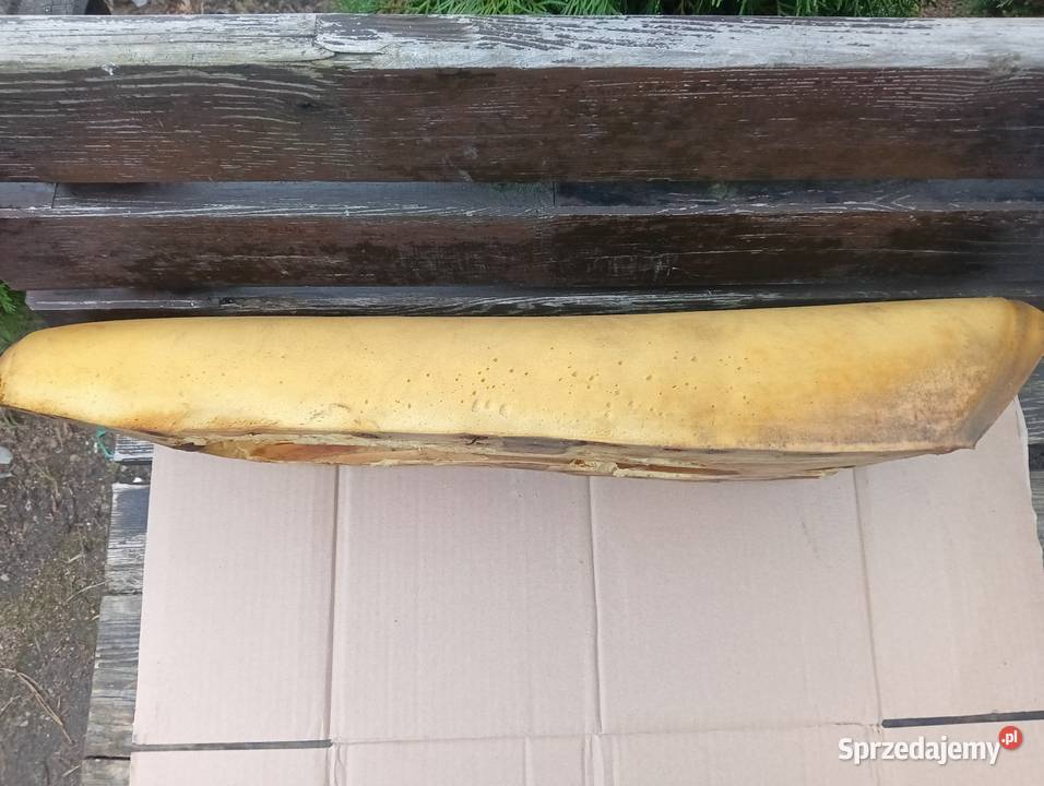Oryginalna gąbka siedzenia Simson Sr 50 super małopolskie Tarnów