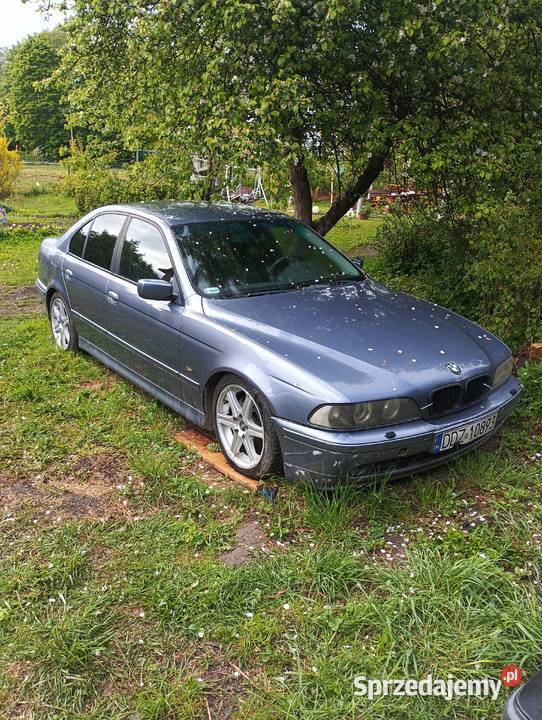 Sprzedam BMW e 39 na części całość 30 d m57 Seria 5 Nowa Ruda