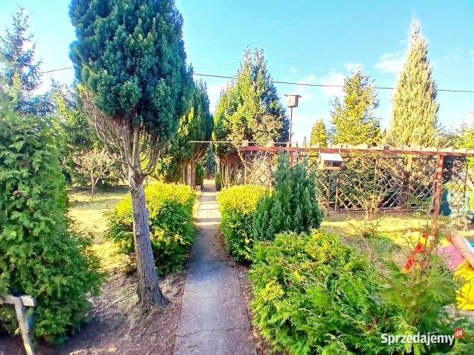 Działka ROD Szczecin Sprzedam Sprzedaż