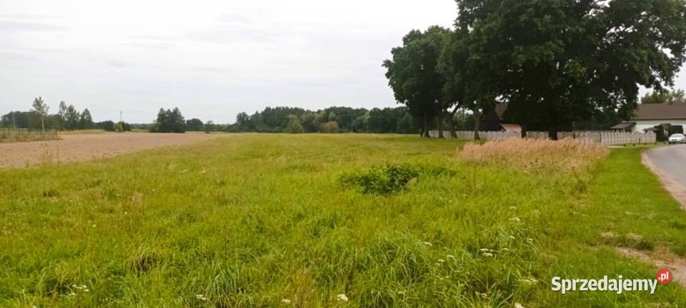 Działka pod 9 domów z WZ Brzezie Trzebnica