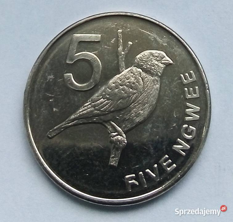 ZAMBIA5 NGWEE2012 r PTAKŁADNA mazowieckie Legionowo