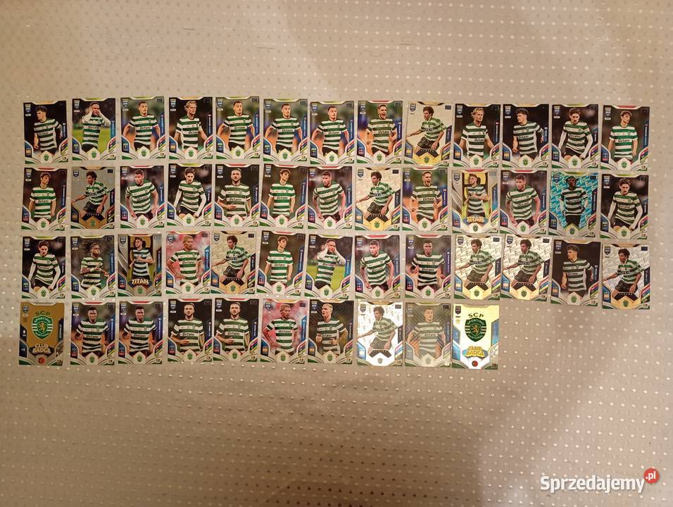 Karty piłkarskie kolekcjonerskie Panini FIFA 365 Puszczykowo