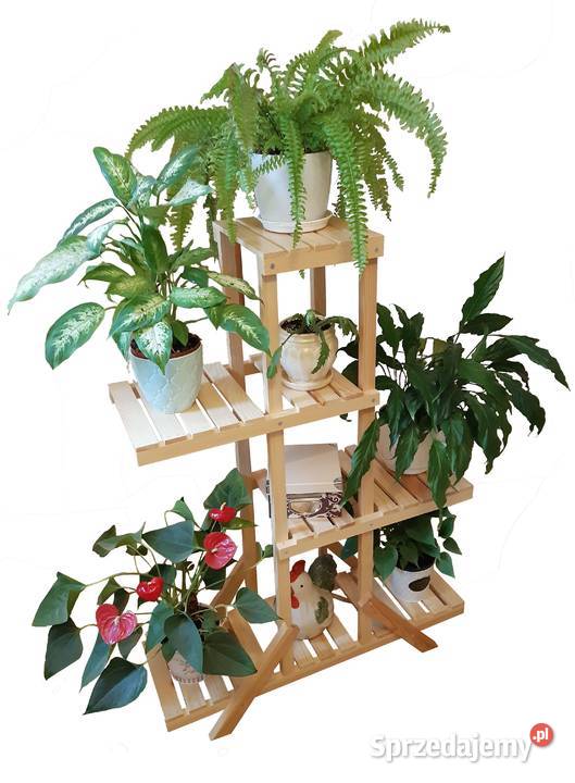 Kwietnik domowy naturalny pomorskie