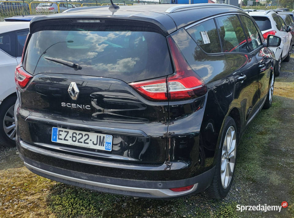 Renault Grand Scenic 7osobowy 80 III 20162021 Pleszew