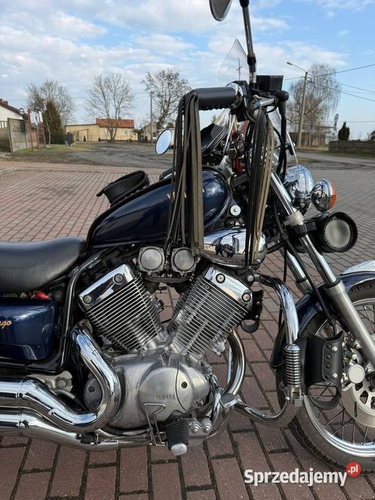 Yamaha Virago 535 Yamaha Wierzbinek