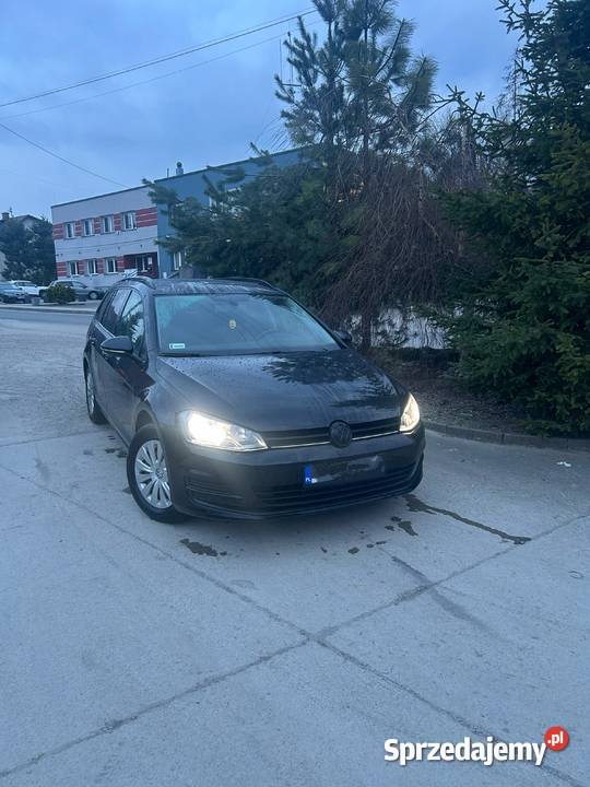 VW GOLF VII 16 Variant Tarnów