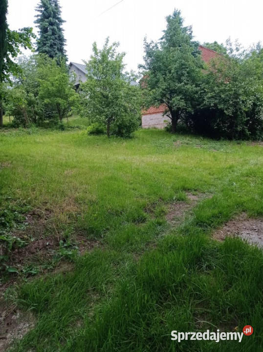 Działka w Trzcianie