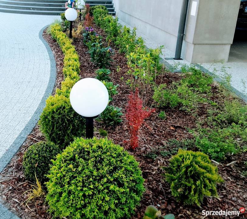 Projekt ogrodu projektowanie i zakładanie Piaseczno