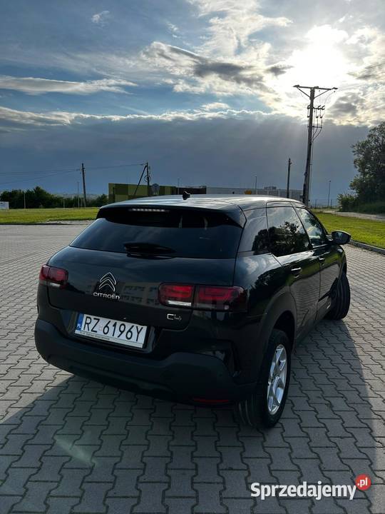 Citroen C4 Cactus Krajowy Serwisowany Hatchback Jasło