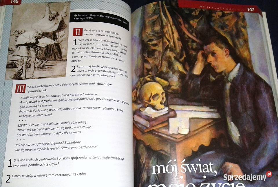 Język polski Świat w słowach i obrazach kl 2 Pozostałe sprzedam