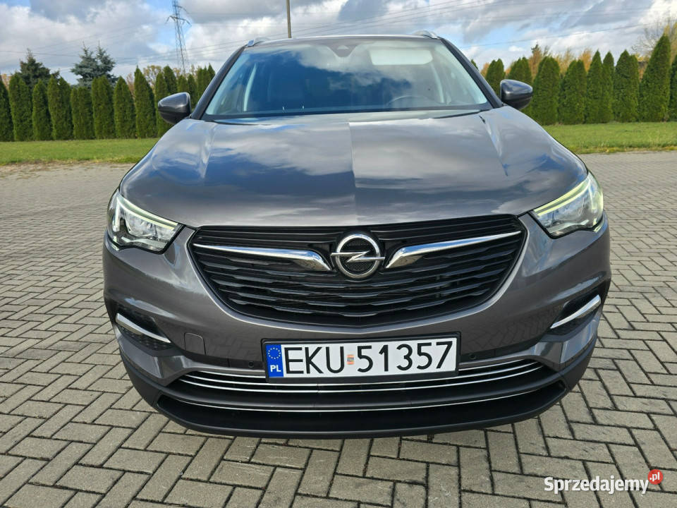Opel Grandland X 12Turbo Benz NaviAsystent Pasa przyciemniane szyby Kutno