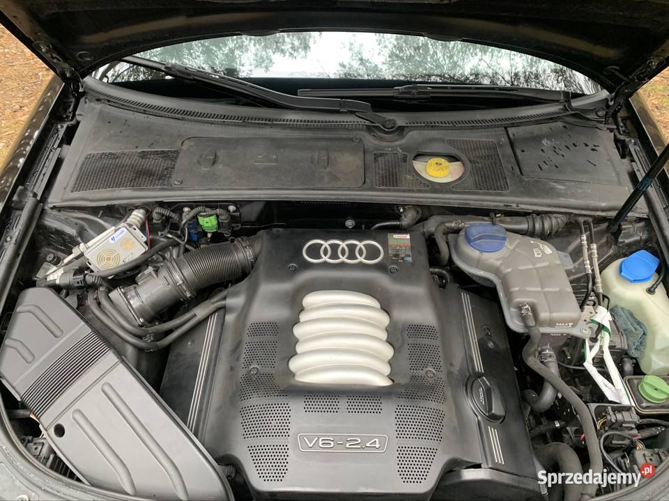 Audi a4 b6 cabrio 24 v6 170 Sulechów