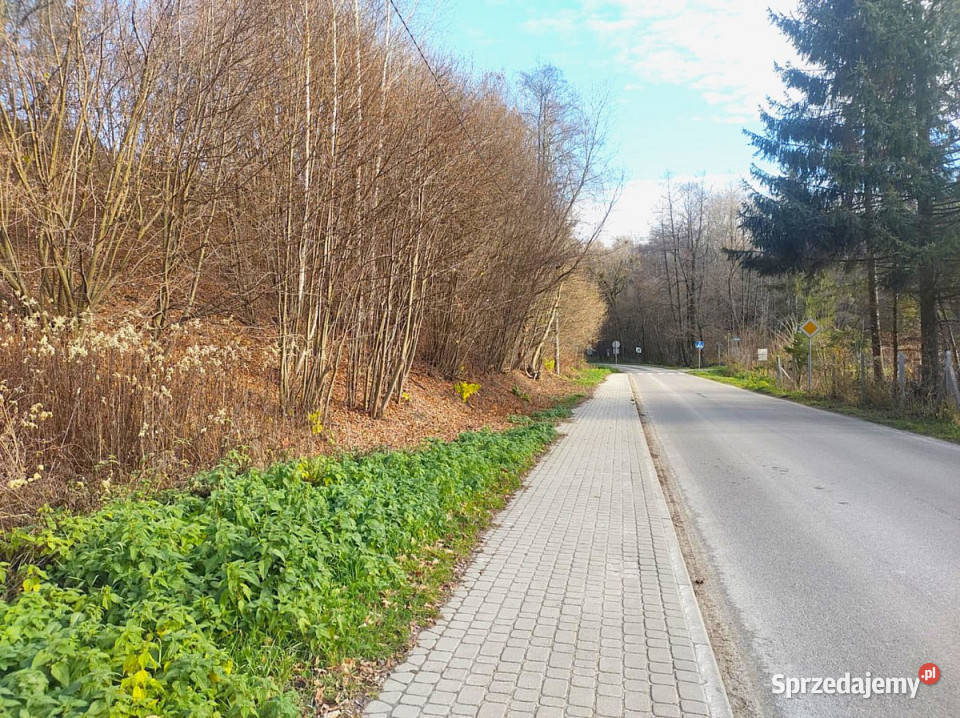 Działka Kazimierz Dolny 16626m2 lubelskie