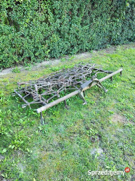 Brony 3 Unia Grudziądz