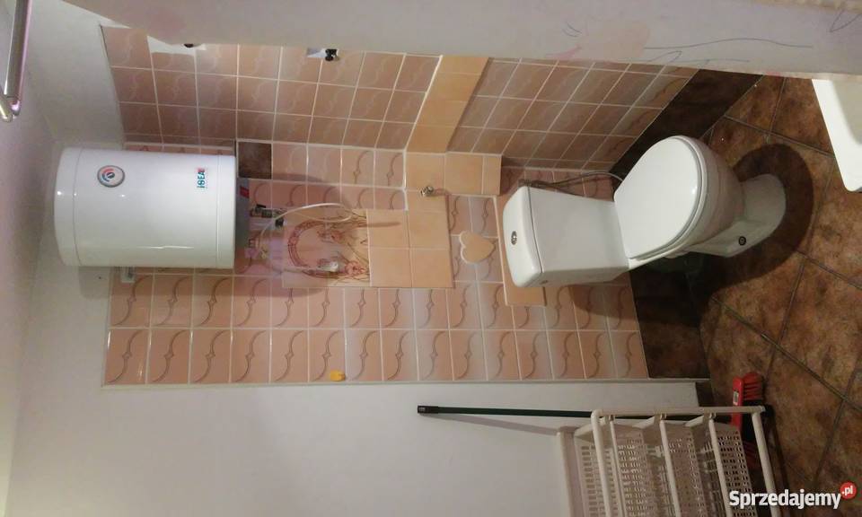 Sprzedam działkę ROD 115 Poznań