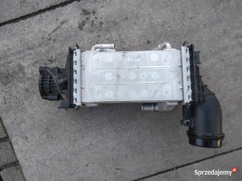 VW 15 TSI chlodnica powietrza intercooler lubelskie Puławy