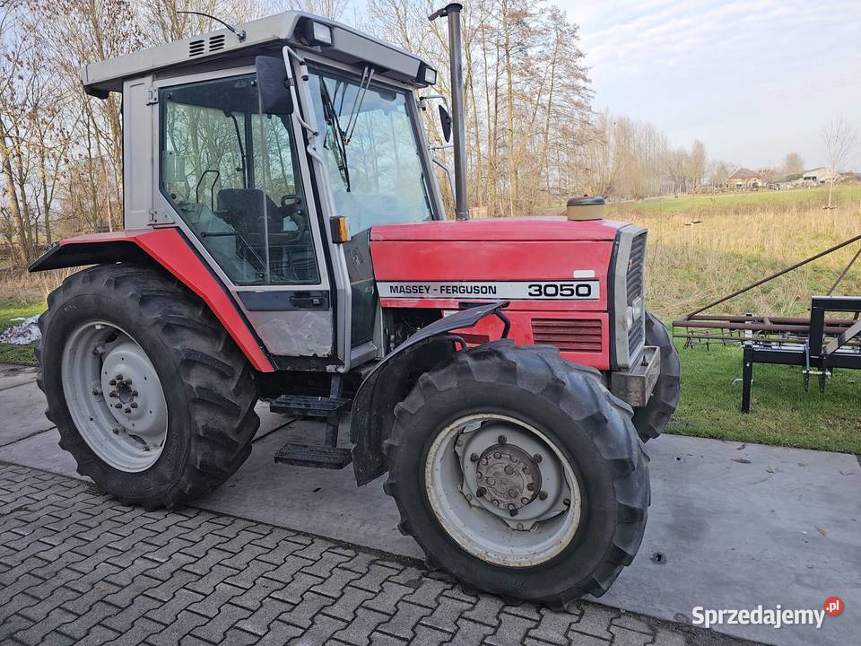 Massey Ferguson 3050 Massey Ferguson lubelskie Tarnawa Mała