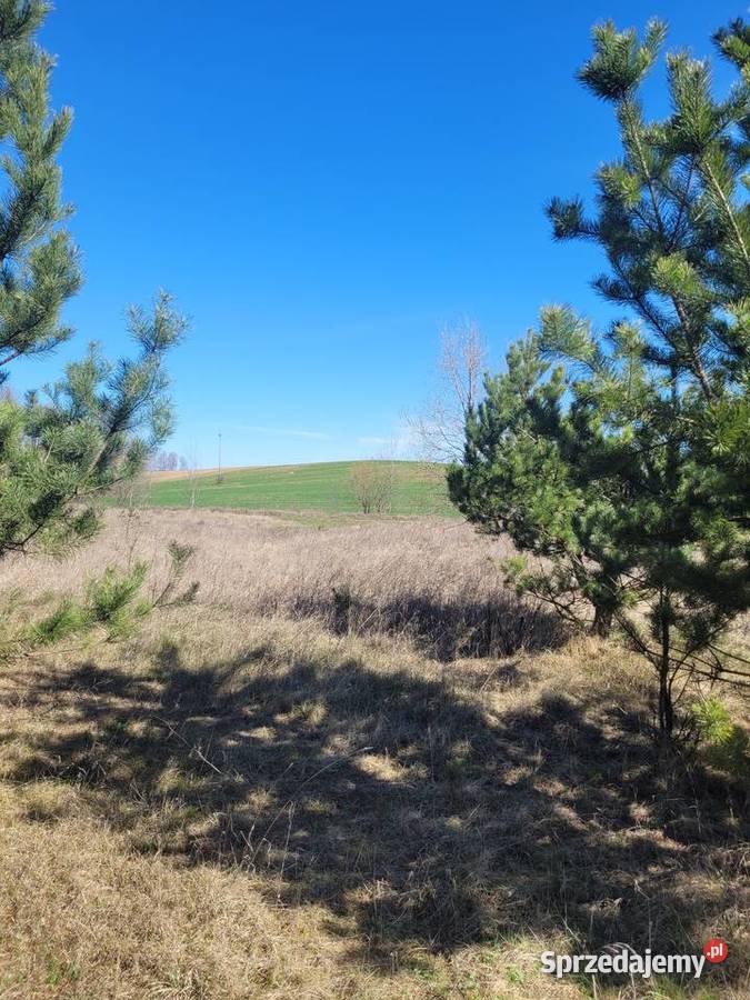 MikołajkiLubiewo działka budowlana Lubiewo sprzedam