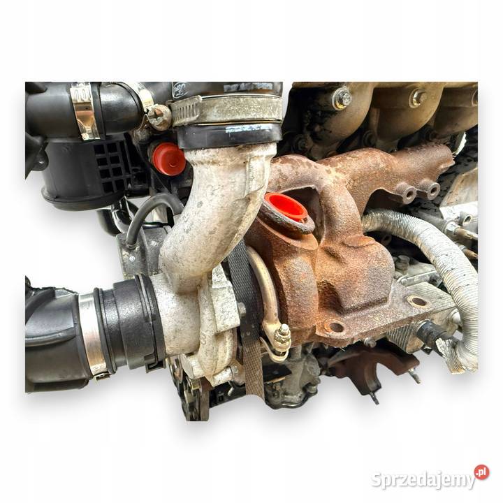 SILNIK R3PA Ford Transit Tourneo Connect 18 TDCI osobowe lubelskie Chełm