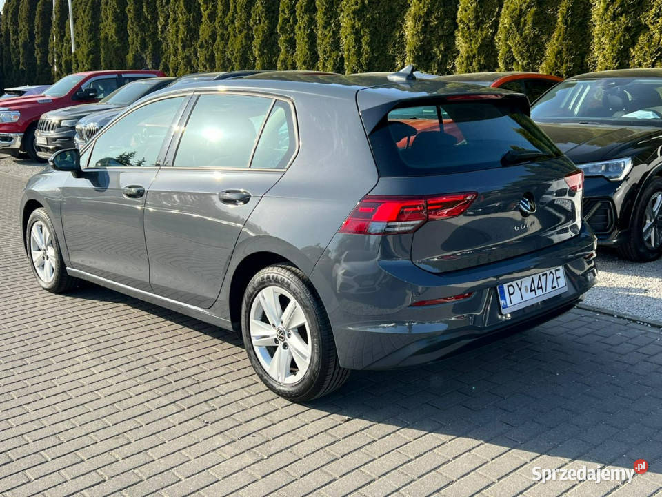 Volkswagen Golf 20 TDI Full LED Ambiente Kamera wielkopolskie Baranowo