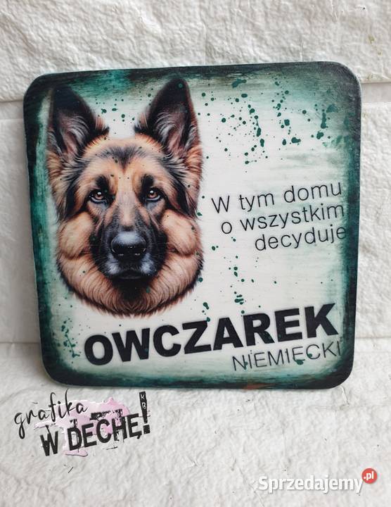 Magnes z psem rasa psów humor małopolskie