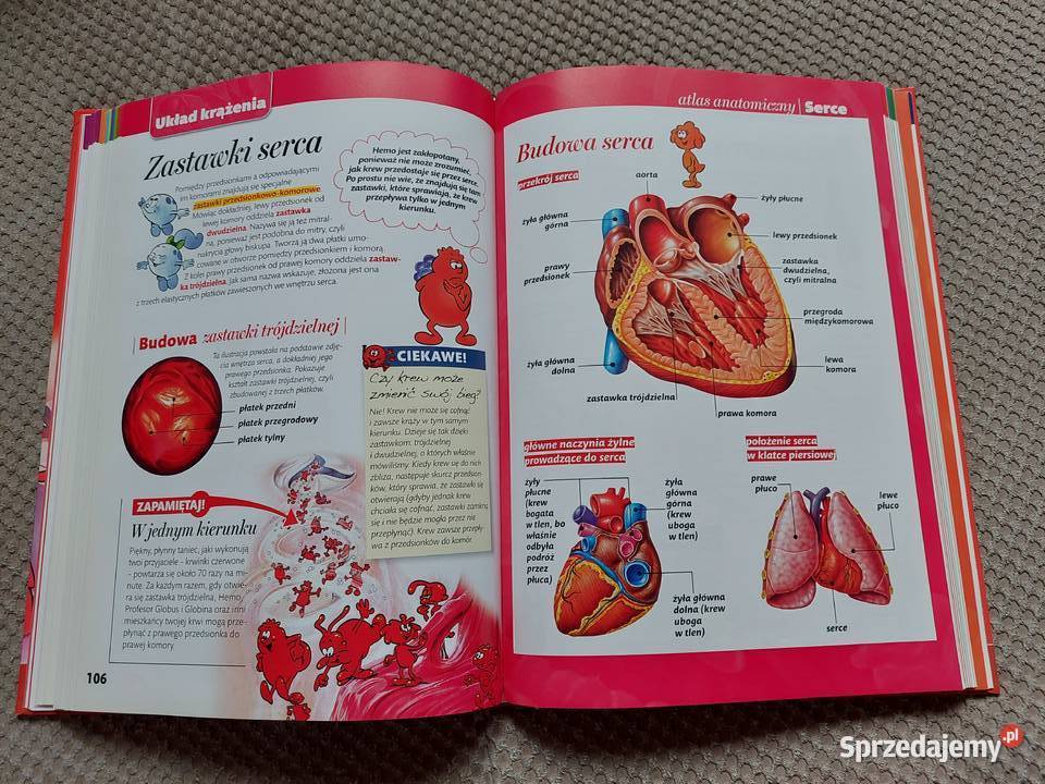DVD książka Było sobie życie Encyklopedia dzieci Kraków