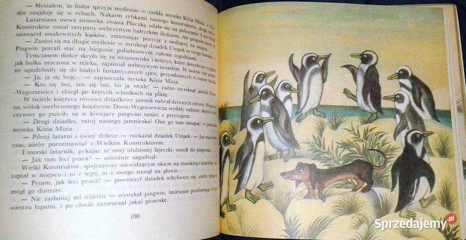 Latarnia dziadka Utopka Zbigniew Żakiewicz miękka lubelskie Chełm