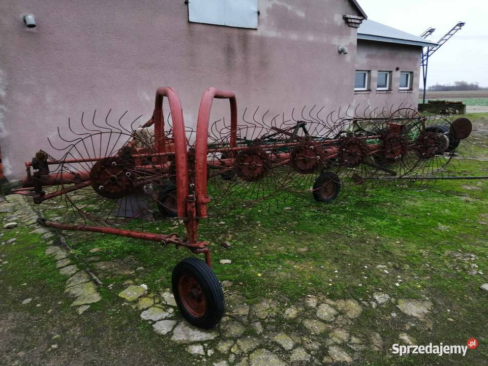 Sprzedam Pająka nieuszkodzony mazowieckie Cetlin