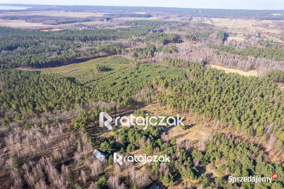 Dom wolnostojący Sasino Stara Cegielnia 40m2 Sprzedaż sprzedam
