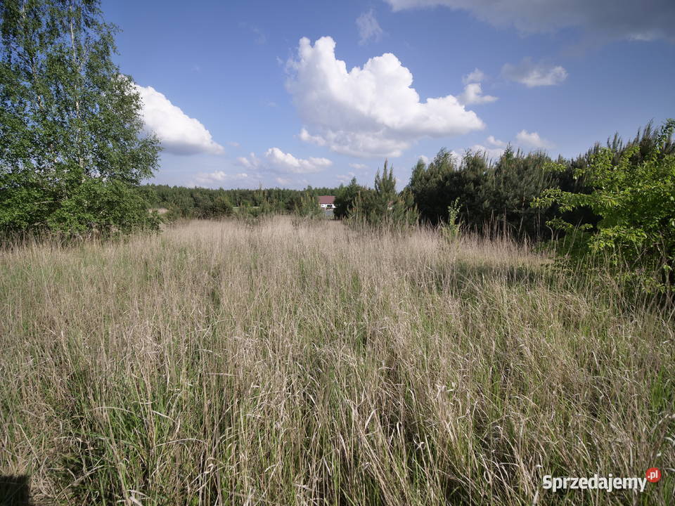 Matyldów jeziorem Zdworskim