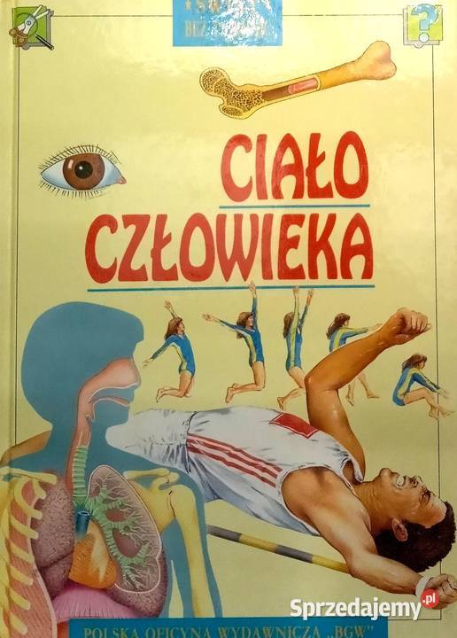 440 Atlas Ciało Człowieka P 13 Warka