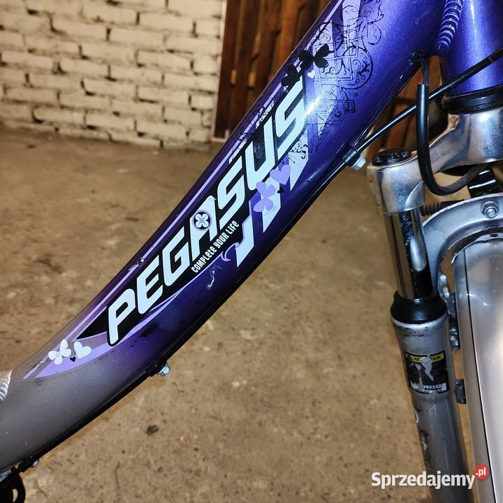 Rower Pegasus aluminiowy Września