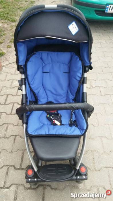 Spacerówka Zebra Lidzbark Warmiński