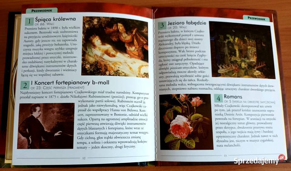 Czajkowski Poezja i Pasja CD Nowa Mistrzowie CD