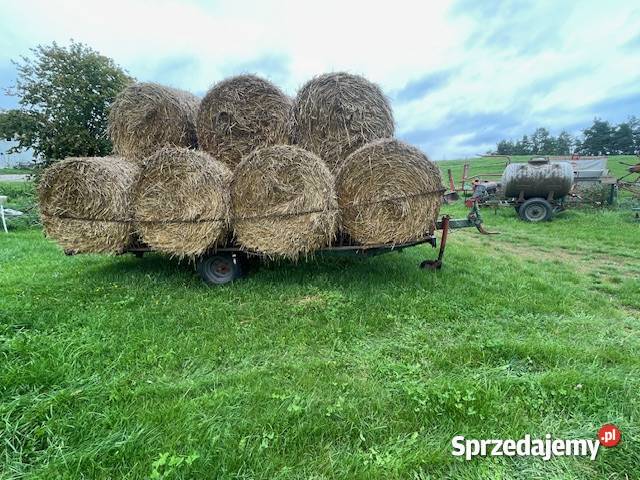 słoma z owsa bele 130125 Mrągowo