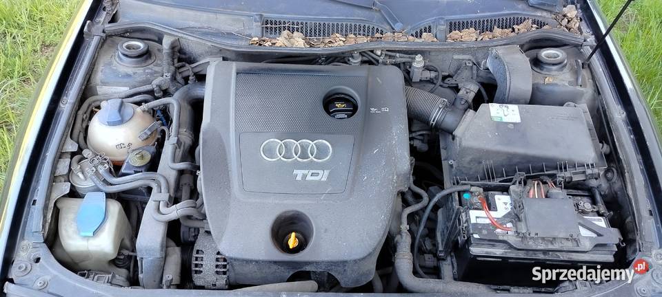 Audi A3 2003r