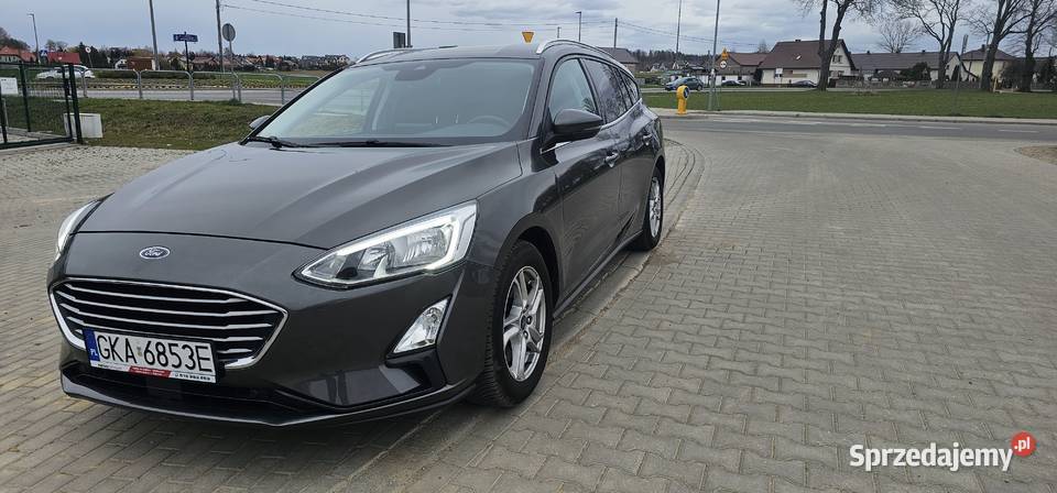 Ford Focus 15 2019r Ford pomorskie Małkowo