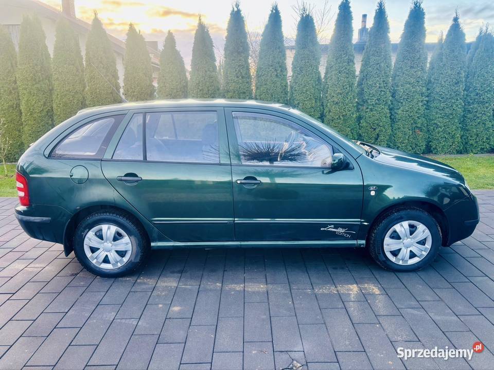 Skoda Fabia 14MPI 2003r przegląd i OC na Rok produkcji 2003 Rzechta