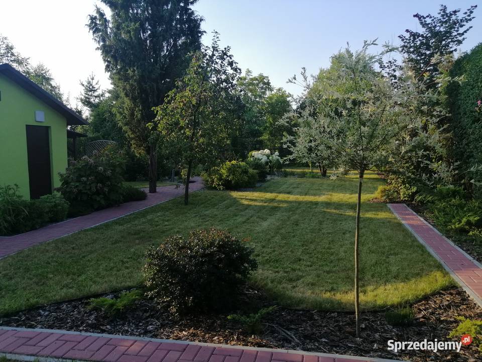 Sprzedam ogródek działkowy Sosnowiec