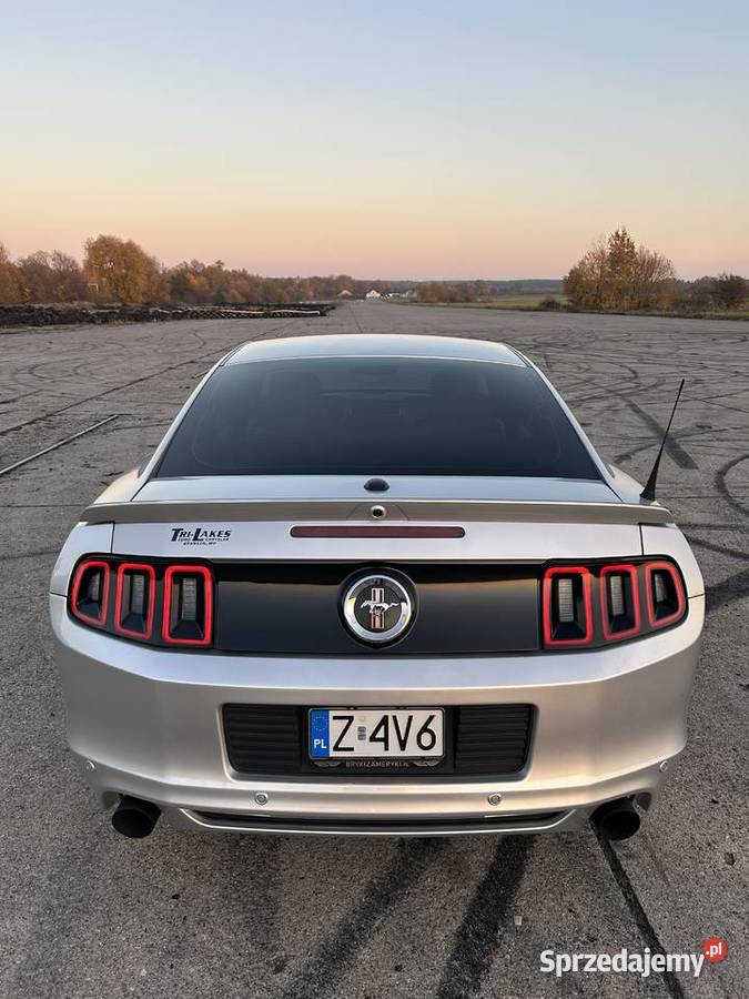 Ford mustang AKTYWNY WYDECH Chojna