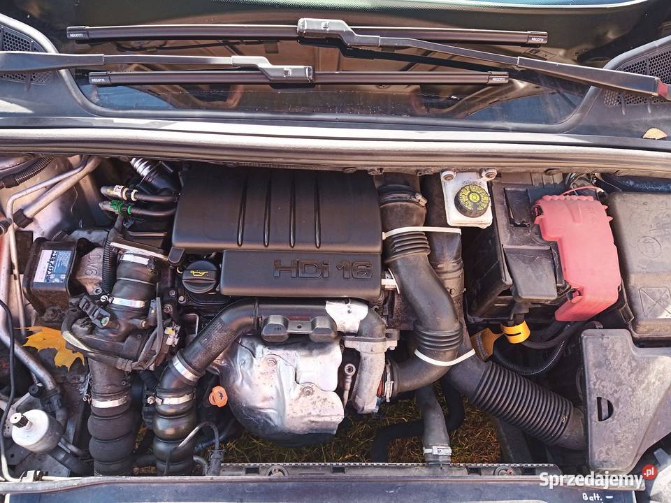 Peugeot 308 T7 2009r ogranicznik prędkości Kcynia