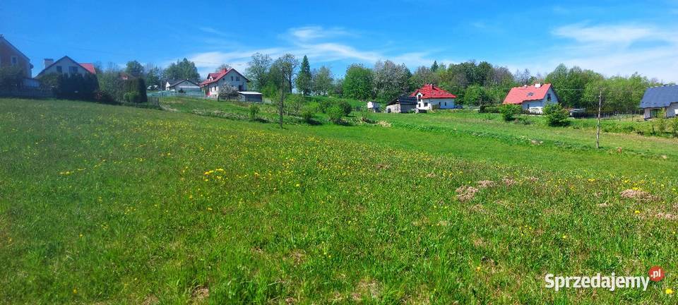 Działka budowlana 25 ar Borek Stary WZ na dom Tyczyn