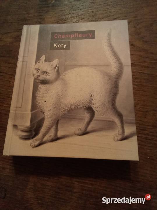 Koty Champlefury Warszawa